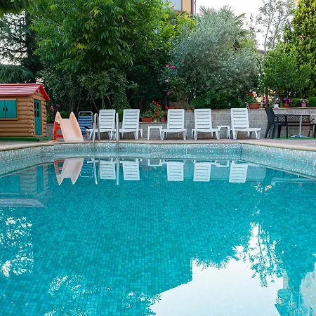 Family Mimosa تساريفو