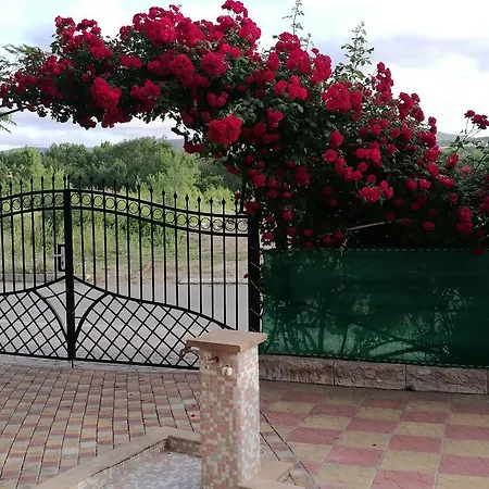 Family Mimosa فندق 3*