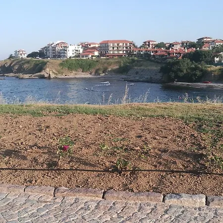 мимоза 3* Царево