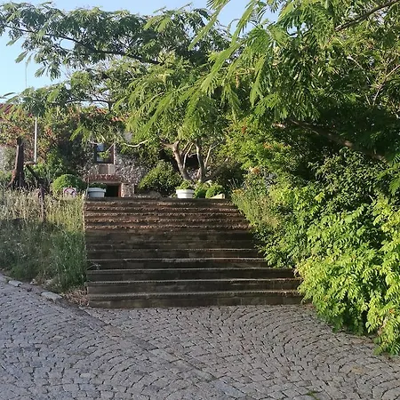 Family Mimosa فندق