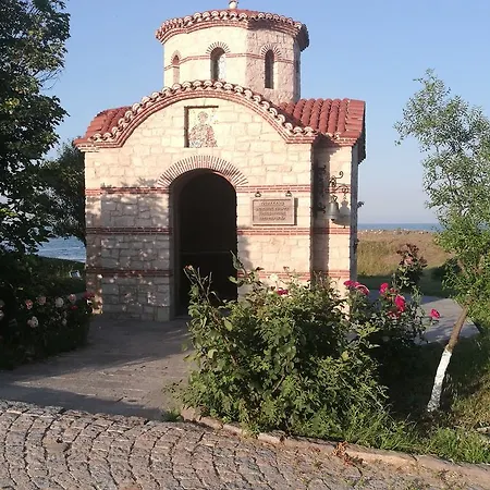 мимоза 3*
