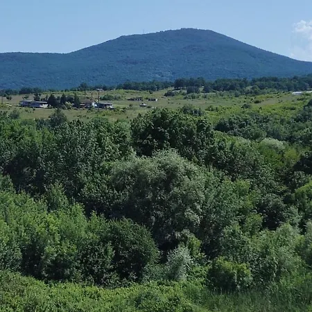 Family Mimosa 3* Tsarevo