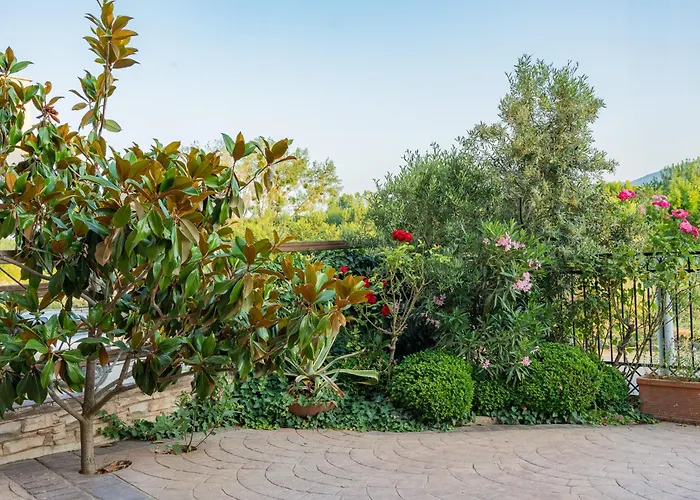 Family Mimosa Tsarevo