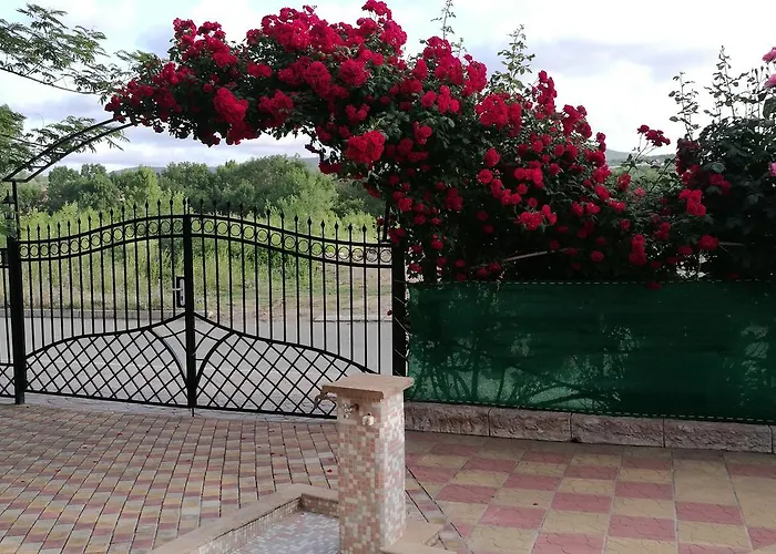 Family Mimosa Otel 3*